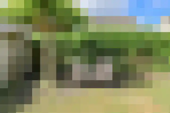 Papegaai 40 Breda thumbnail 48