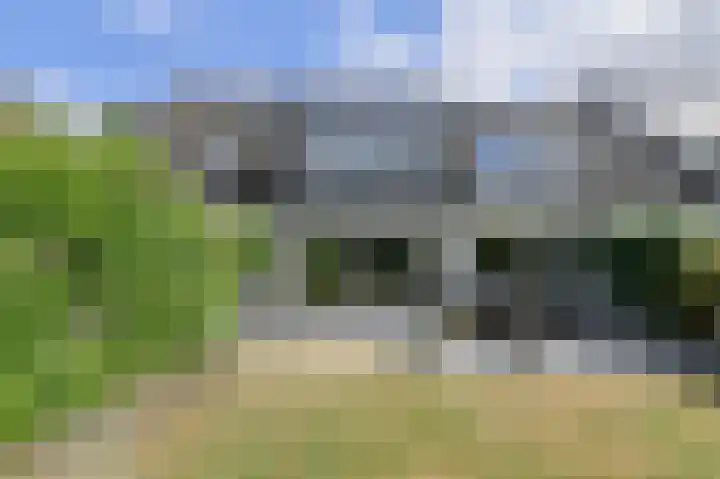 Papegaai 40 Breda thumbnail 5