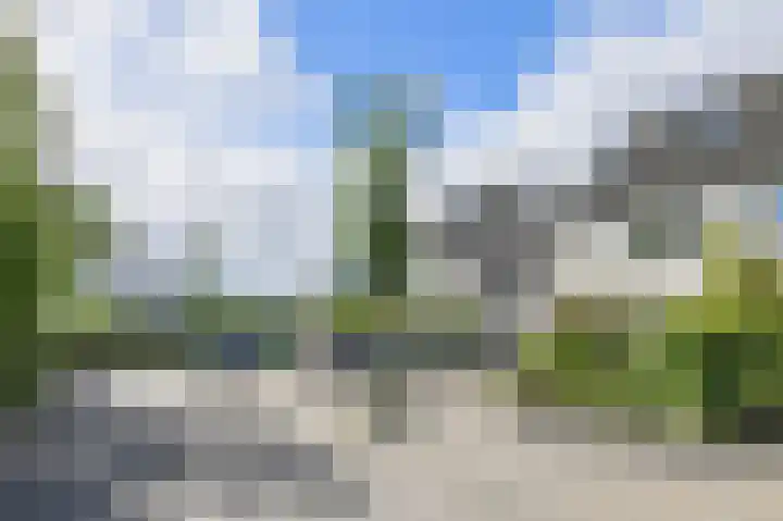 Papegaai 40 Breda thumbnail 51