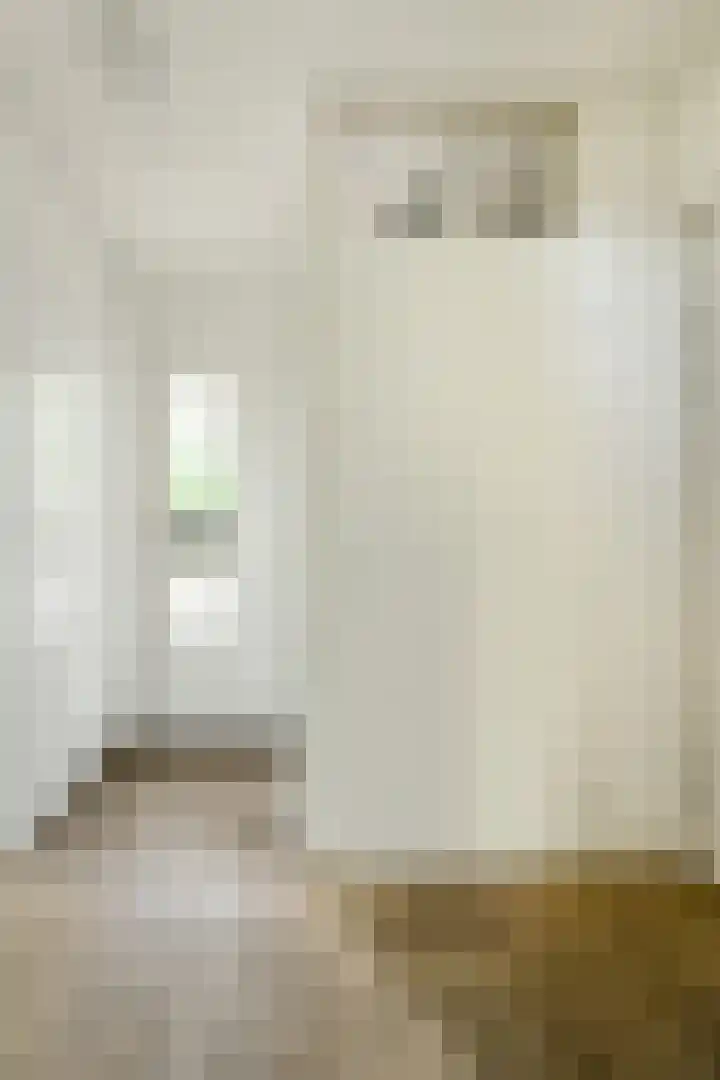 Papegaai 40 Breda thumbnail 7
