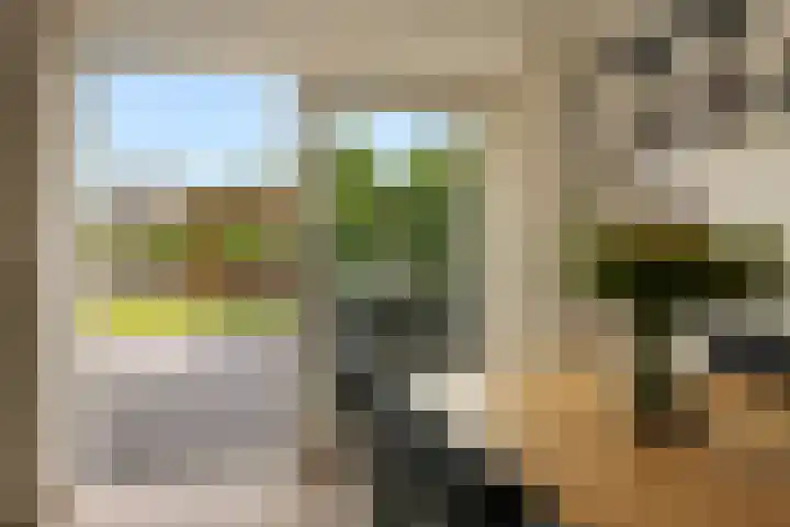 Papegaaiduiker 18 Wildervank thumbnail 11