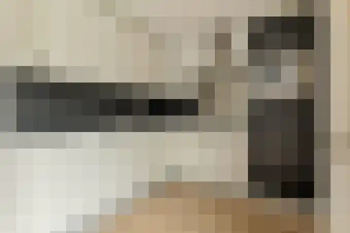 Papegaaiduiker 18 Wildervank thumbnail 12