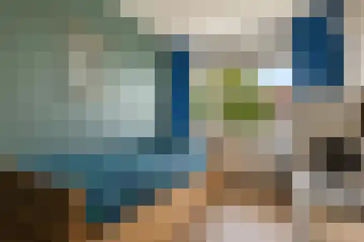 Papegaaiduiker 18 Wildervank thumbnail 17
