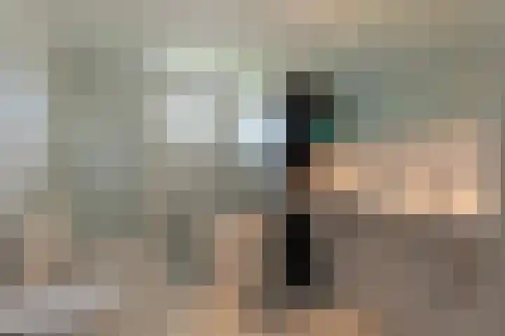 Papegaaiduiker 18 Wildervank thumbnail 18