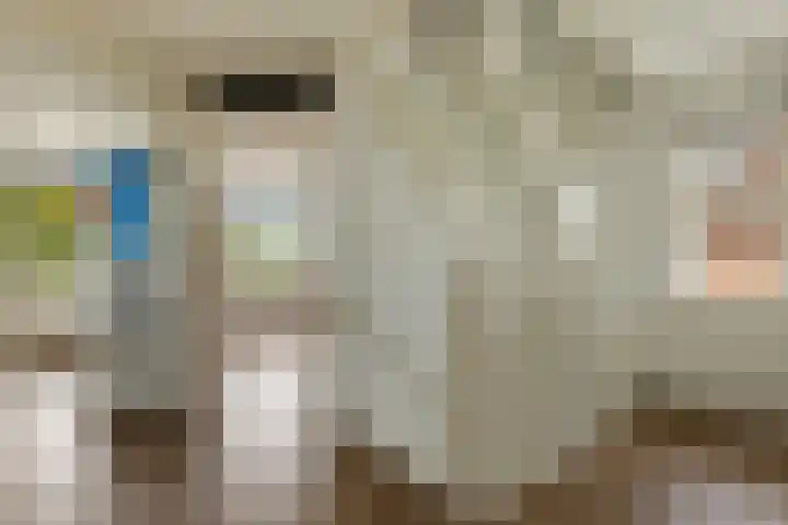 Papegaaiduiker 18 Wildervank thumbnail 20