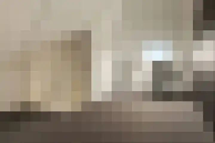 Papegaaiduiker 18 Wildervank thumbnail 21