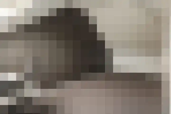 Papegaaiduiker 18 Wildervank thumbnail 22
