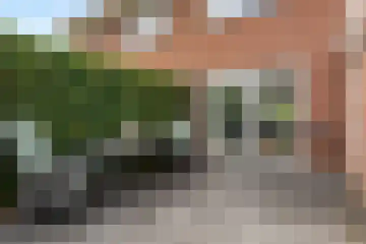 Papegaaiduiker 18 Wildervank thumbnail 23