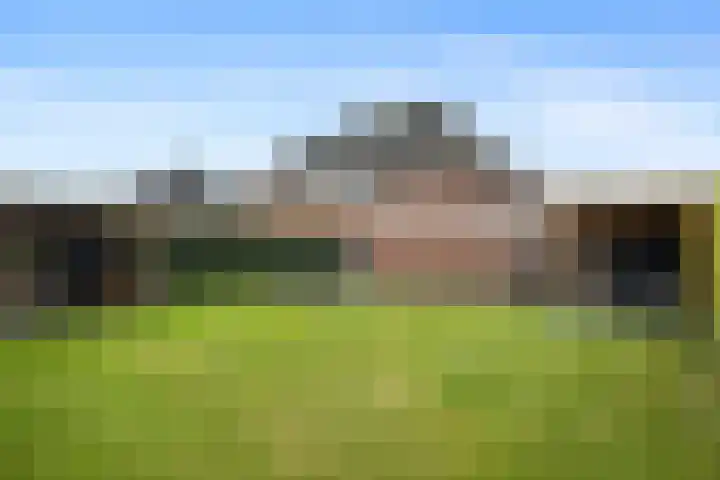 Papegaaiduiker 18 Wildervank thumbnail 24