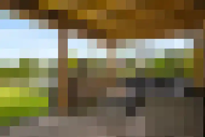 Papegaaiduiker 18 Wildervank thumbnail 26