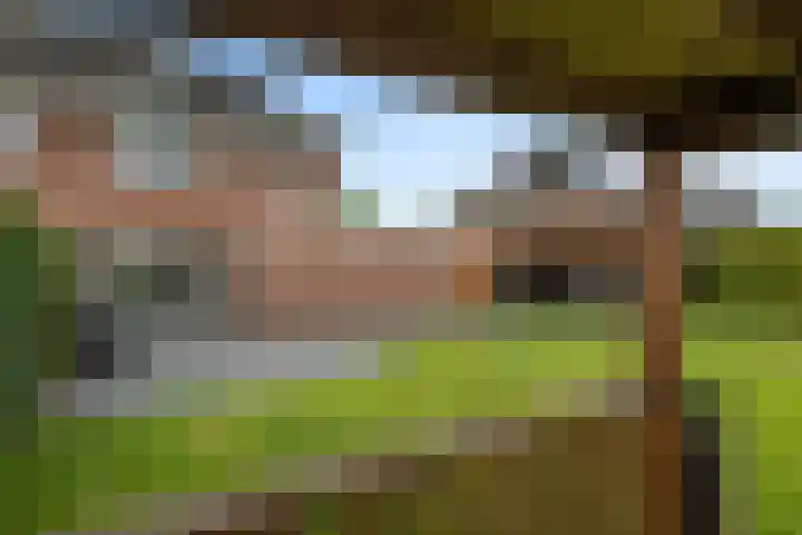 Papegaaiduiker 18 Wildervank thumbnail 27