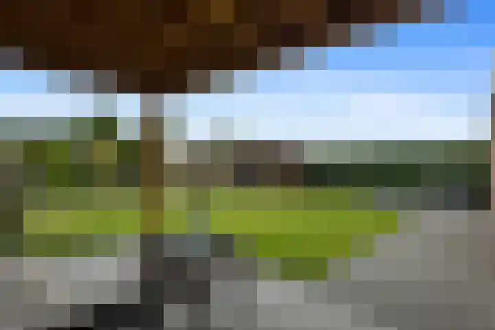 Papegaaiduiker 18 Wildervank thumbnail 28