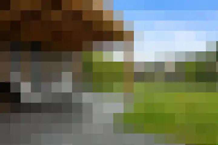 Papegaaiduiker 18 Wildervank thumbnail 29