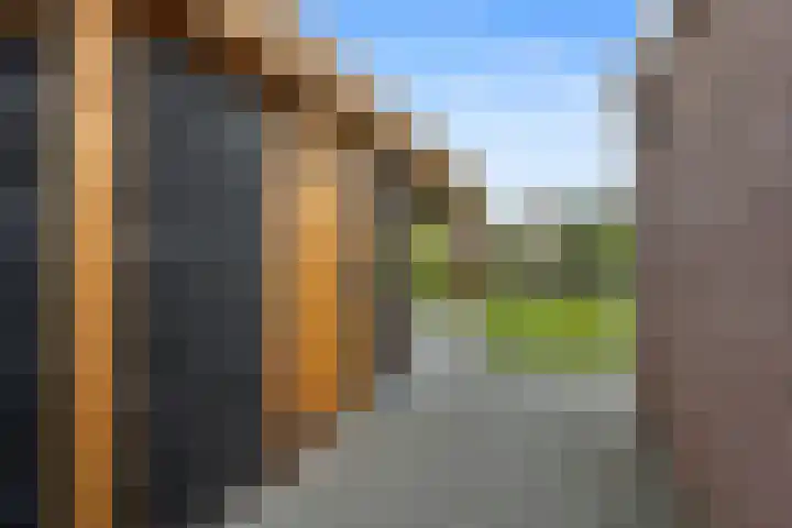 Papegaaiduiker 18 Wildervank thumbnail 30