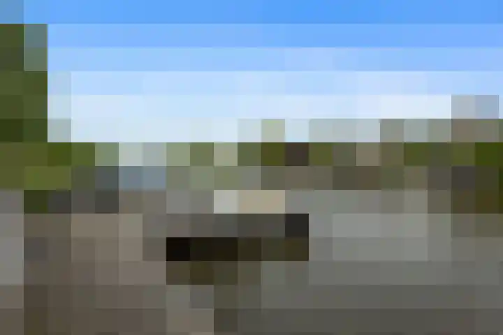 Papegaaiduiker 18 Wildervank thumbnail 31