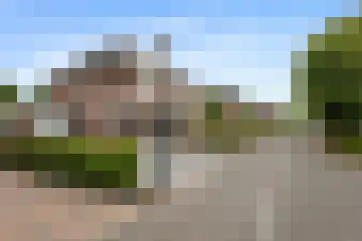 Papegaaiduiker 18 Wildervank thumbnail 35