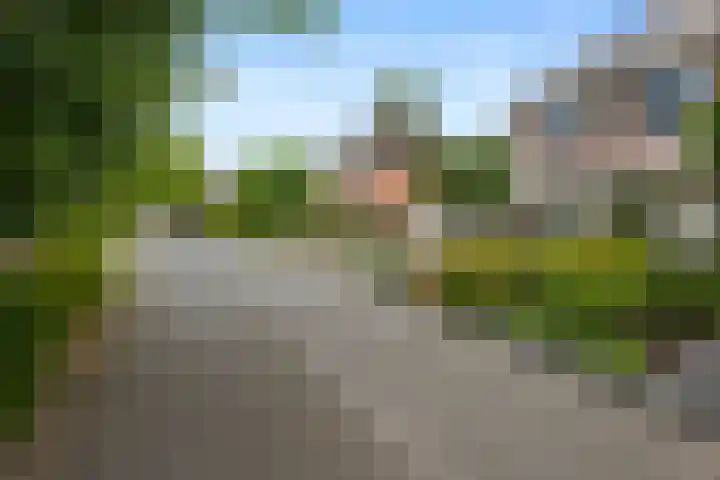 Papegaaiduiker 18 Wildervank thumbnail 36