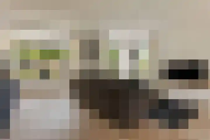 Papegaaiduiker 18 Wildervank thumbnail 7