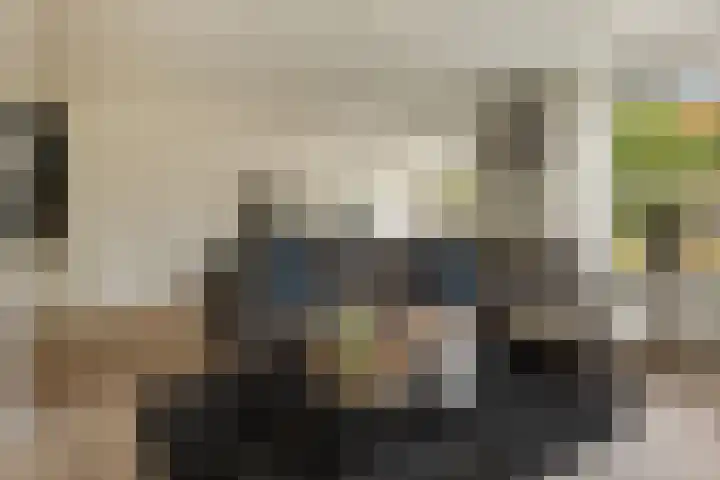 Papegaaiduiker 18 Wildervank thumbnail 8