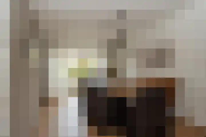 Papegaaiduiker 6 Wildervank thumbnail 10