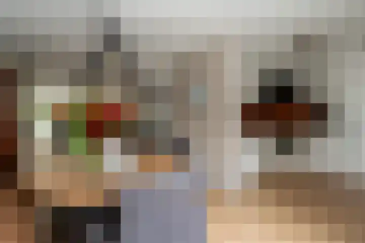 Papegaaiduiker 6 Wildervank thumbnail 12