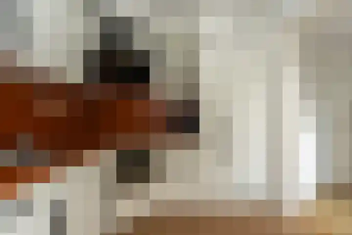 Papegaaiduiker 6 Wildervank thumbnail 14