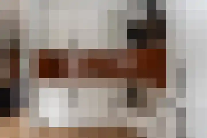 Papegaaiduiker 6 Wildervank thumbnail 15