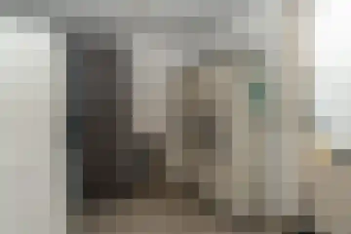 Papegaaiduiker 6 Wildervank thumbnail 17