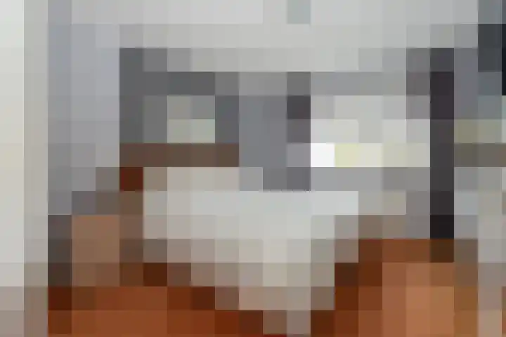 Papegaaiduiker 6 Wildervank thumbnail 22