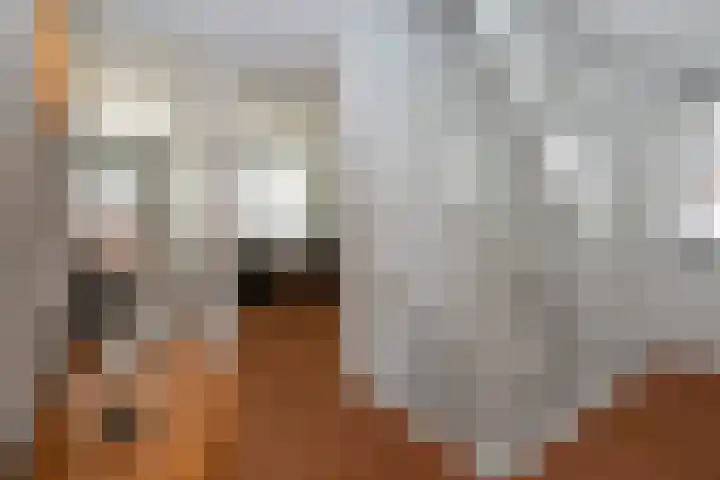 Papegaaiduiker 6 Wildervank thumbnail 24