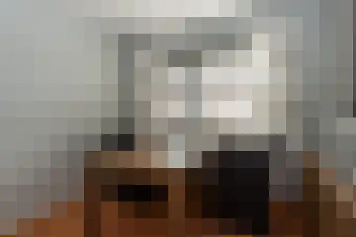 Papegaaiduiker 6 Wildervank thumbnail 26