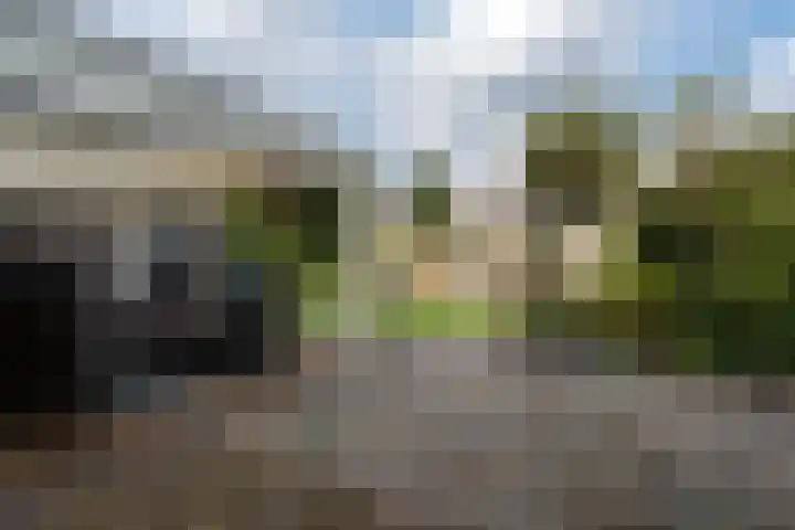 Papegaaiduiker 6 Wildervank thumbnail 39