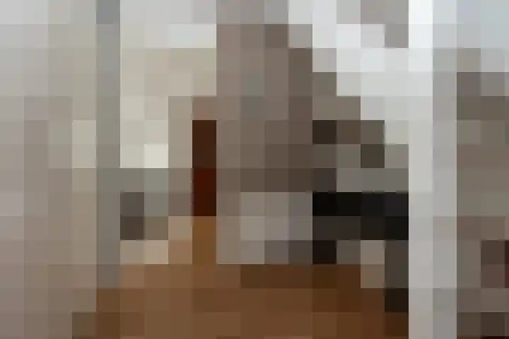 Papegaaiduiker 6 Wildervank thumbnail 4
