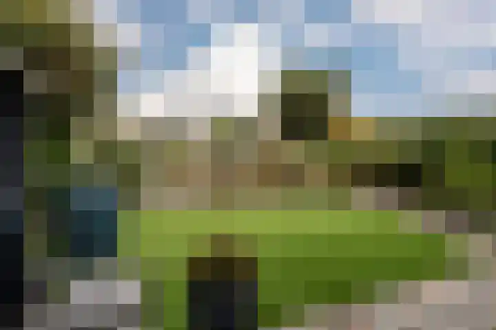 Papegaaiduiker 6 Wildervank thumbnail 40