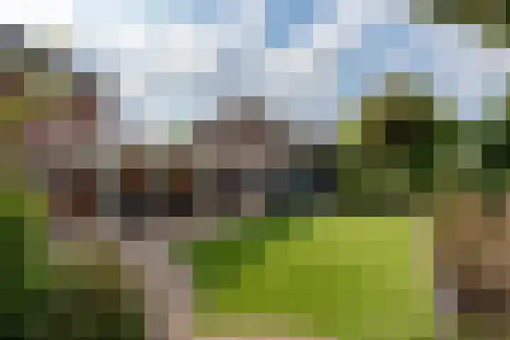 Papegaaiduiker 6 Wildervank thumbnail 41