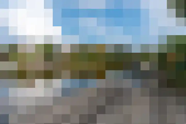 Papegaaiduiker 6 Wildervank thumbnail 43
