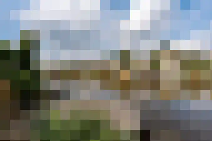 Papegaaiduiker 6 Wildervank thumbnail 44
