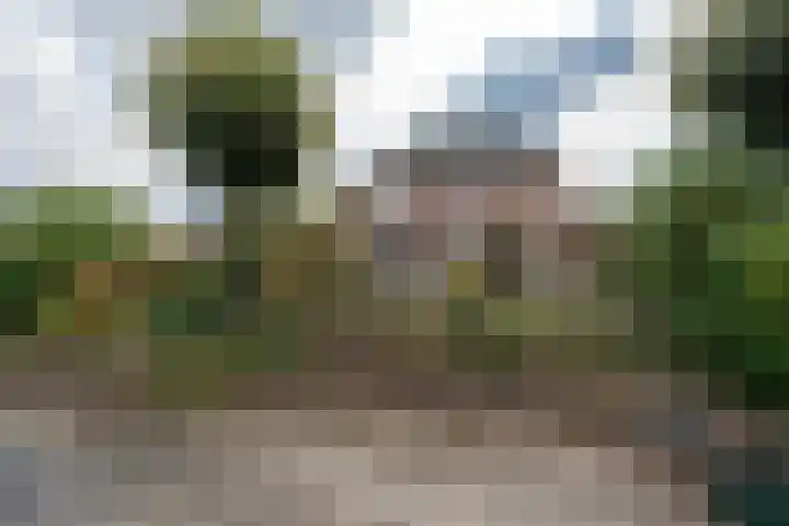 Papegaaiduiker 6 Wildervank thumbnail 45