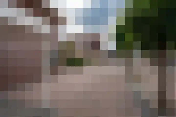 Papegaaiduiker 6 Wildervank thumbnail 46