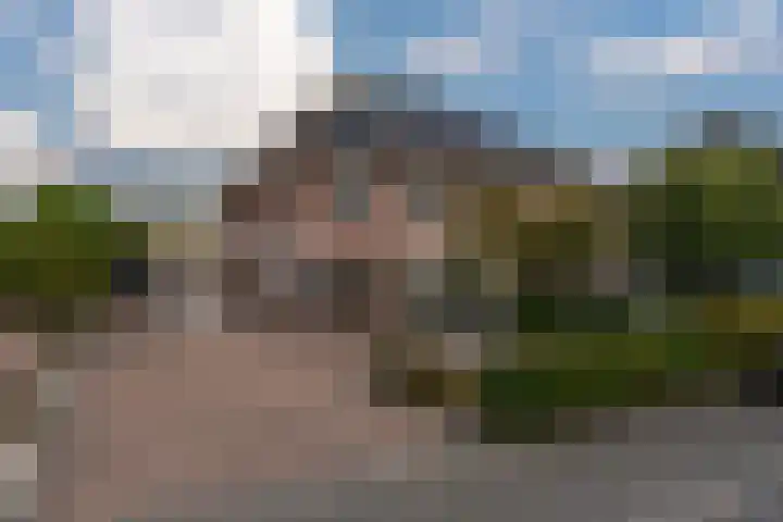 Papegaaiduiker 6 Wildervank thumbnail 47