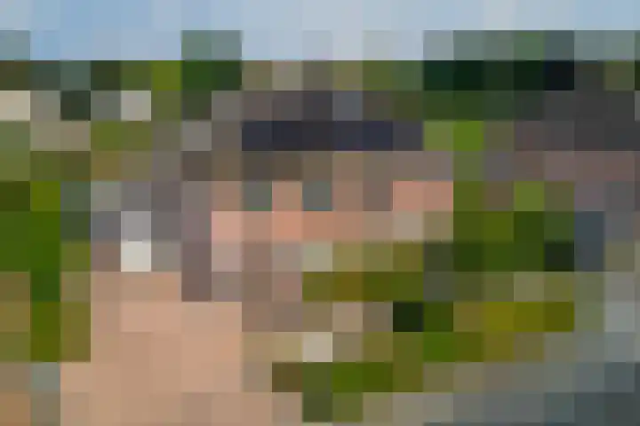 Papegaaiduiker 6 Wildervank thumbnail 48