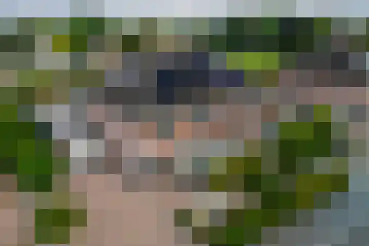 Papegaaiduiker 6 Wildervank thumbnail 49