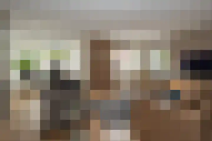 Papegaaiduiker 6 Wildervank thumbnail 5