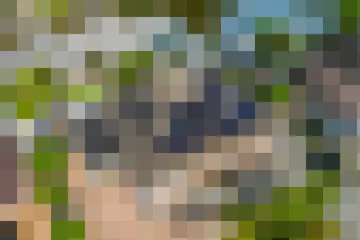 Papegaaiduiker 6 Wildervank thumbnail 51