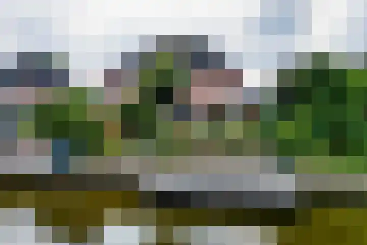 Papegaaiduiker 6 Wildervank thumbnail 53