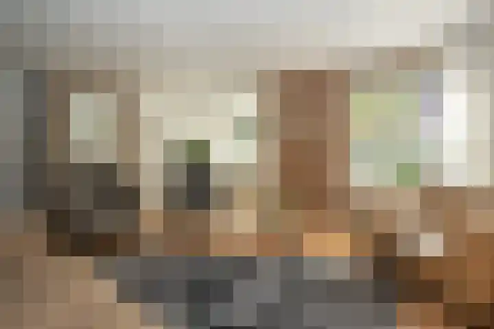 Papegaaiduiker 6 Wildervank thumbnail 6