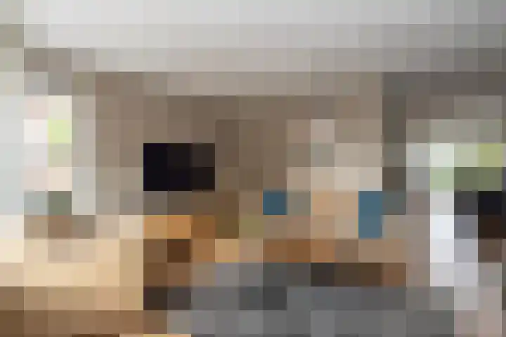 Papegaaiduiker 6 Wildervank thumbnail 7