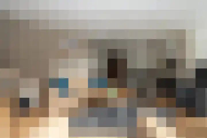 Papegaaiduiker 6 Wildervank thumbnail 8