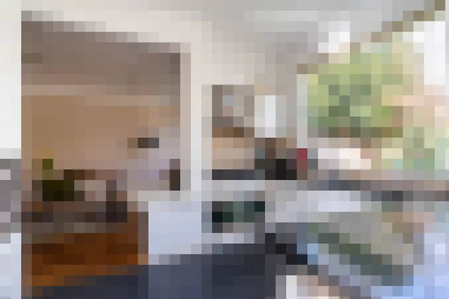 Papegaaienlaan 17 Wassenaar thumbnail 16