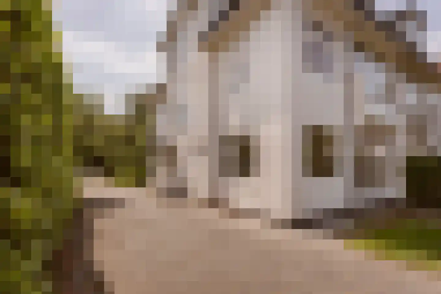 Papegaaienlaan 17 Wassenaar thumbnail 19
